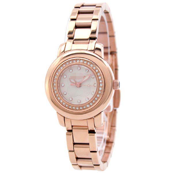 WF0B036BSS Watch Battery