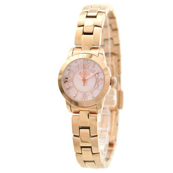 WF0R025BPP Watch Battery