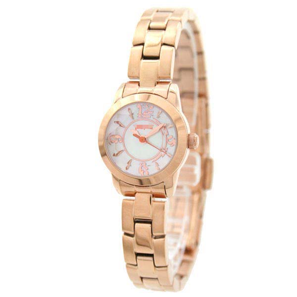 WF0R025BPW Watch Battery