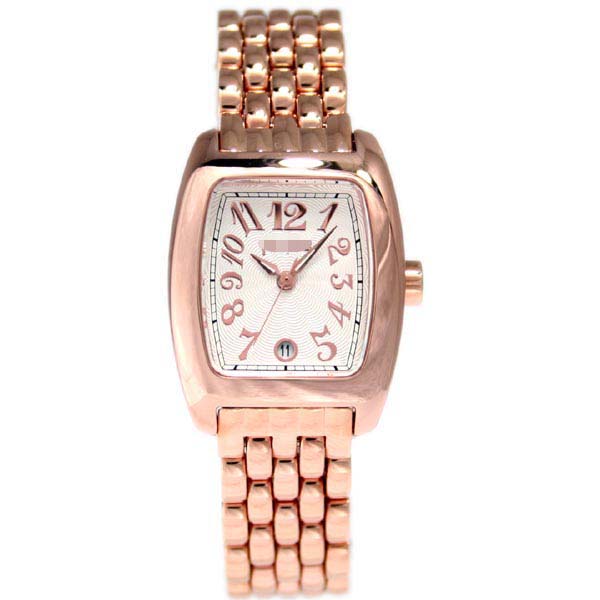 WF5R080BDS Watch Battery