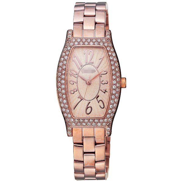 WF5R084BPP Watch Battery
