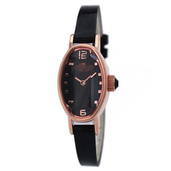 WF9R009SPK-BK Watch Battery