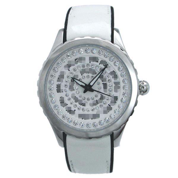 WF9T030SSW Watch Battery
