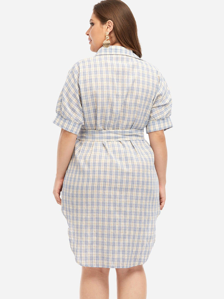 Womens Multi Plus Size Dresses