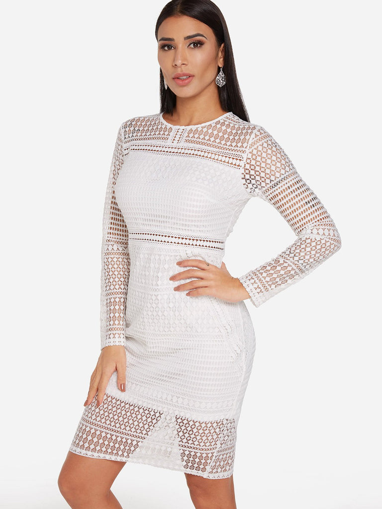 Ladies Long Sleeve Sexy Dress