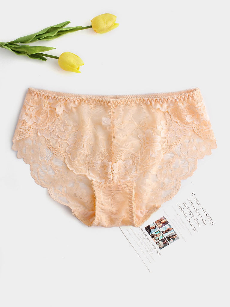 Plus Size Embroidered Sexy Brief