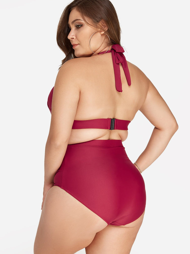 Womens Burgundy Plus Size Swimwear