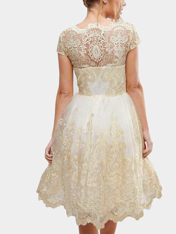 Womens Gold Sexy Dresses