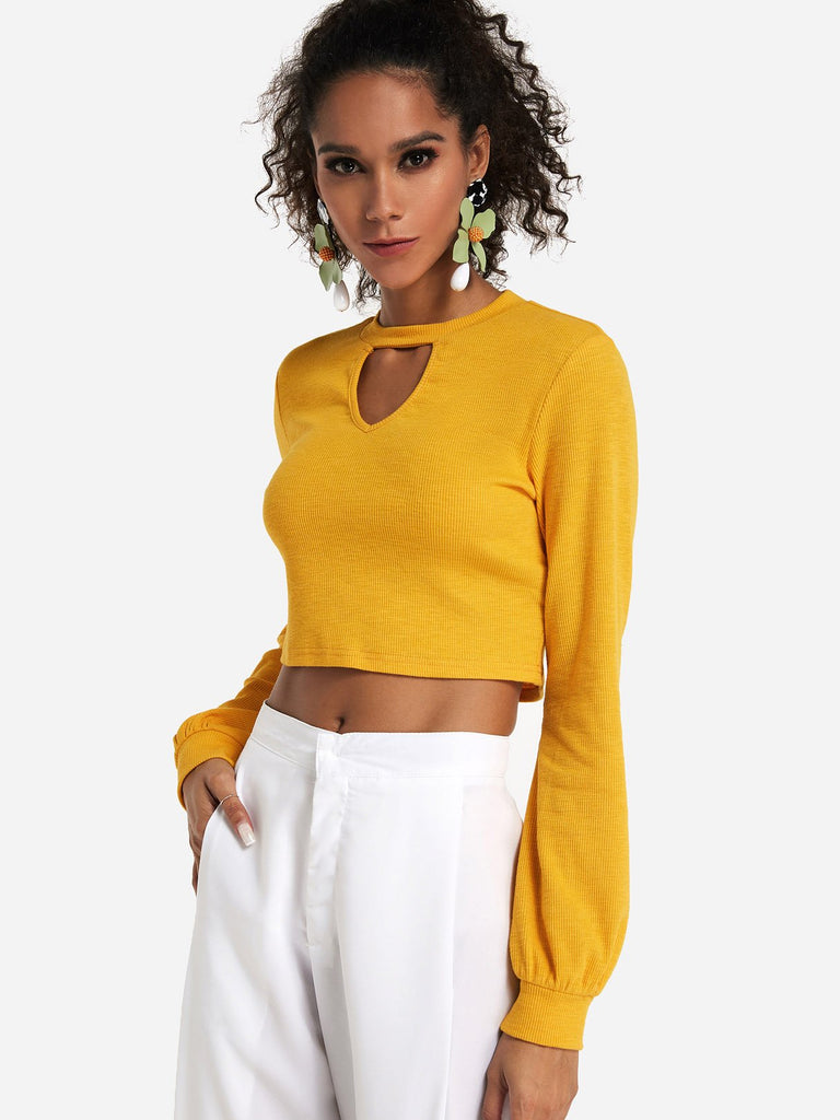 Crew Neck Plain Hollow Long Sleeve Yellow T-Shirts