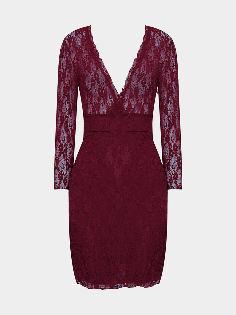 Deep V Neck Lace Long Sleeve Plum Mini Dress