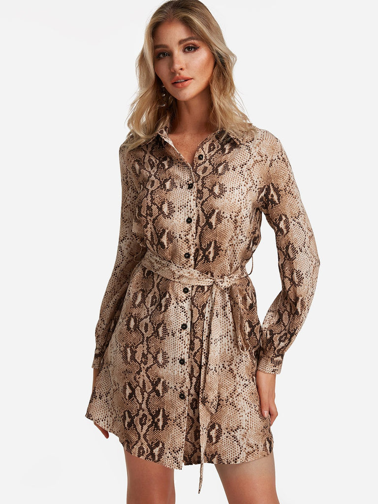 Ladies Brown Mini Dresses