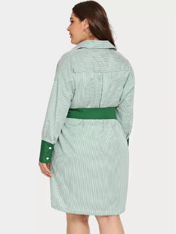 Classic Collar Stripe Long Sleeve High-Low Hem Green Plus Size Dress