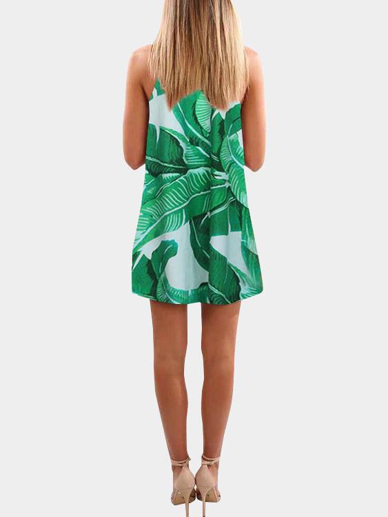 Clubwear Dresses