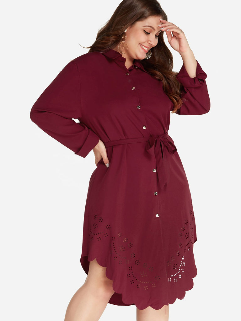 Ladies Long Sleeve Plus Size Dress