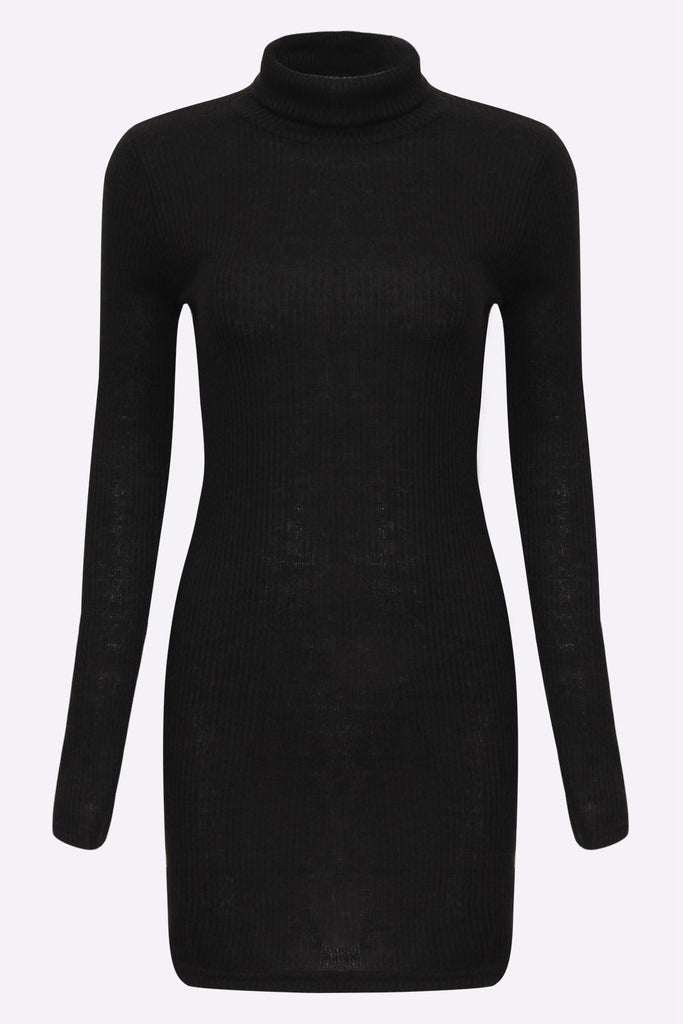 Black Roll Neck Long Sleeve Mini Dress