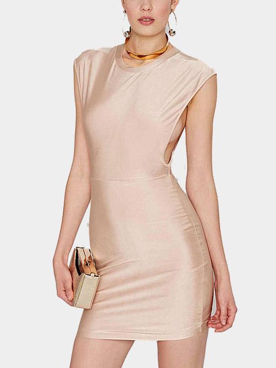 Rose Crew Neck Sleeveless Plain Mini Dress