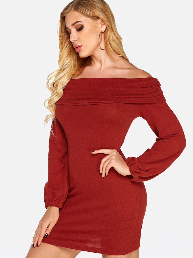 Ladies Long Sleeve Dress